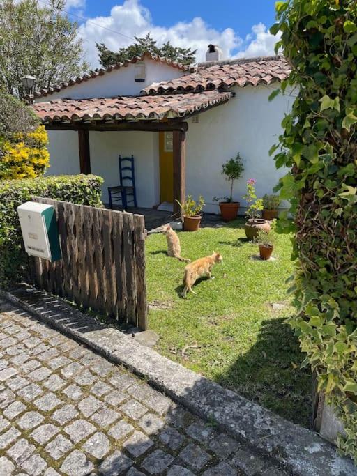 Ocean, Surf, Golf Private Villa With Pool Near Lagoon Casal do Narcizo Экстерьер фото