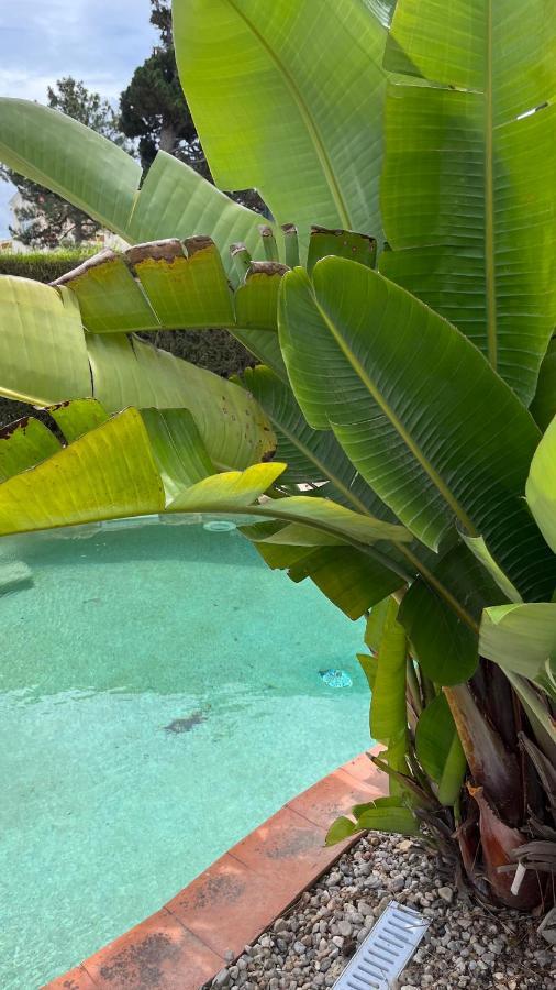 Ocean, Surf, Golf Private Villa With Pool Near Lagoon Casal do Narcizo Экстерьер фото